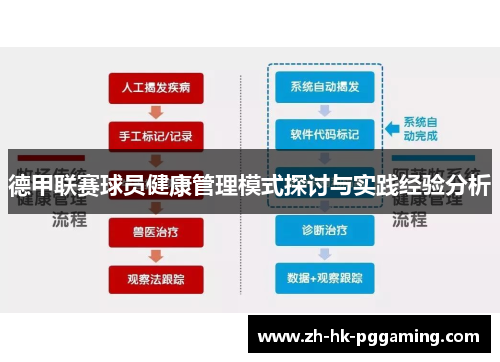 德甲联赛球员健康管理模式探讨与实践经验分析