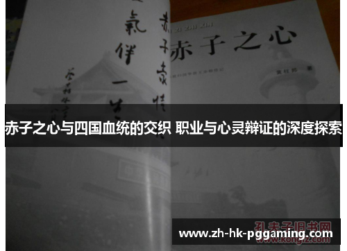 赤子之心与四国血统的交织 职业与心灵辩证的深度探索