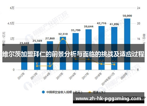 维尔茨加盟拜仁的前景分析与面临的挑战及适应过程