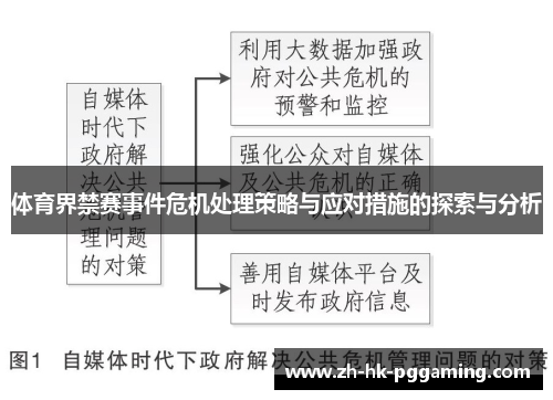 体育界禁赛事件危机处理策略与应对措施的探索与分析
