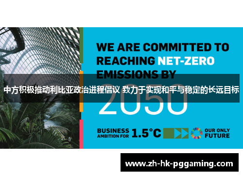 中方积极推动利比亚政治进程倡议 致力于实现和平与稳定的长远目标