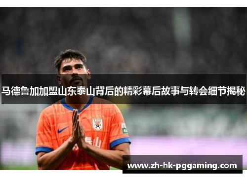 马德鲁加加盟山东泰山背后的精彩幕后故事与转会细节揭秘
