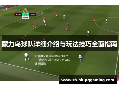 魔力鸟球队详细介绍与玩法技巧全面指南