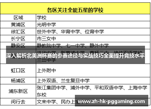 深入解析北美洲杯赛的参赛途径与实战技巧全面提升竞技水平