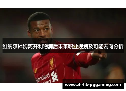 维纳尔杜姆离开利物浦后未来职业规划及可能去向分析