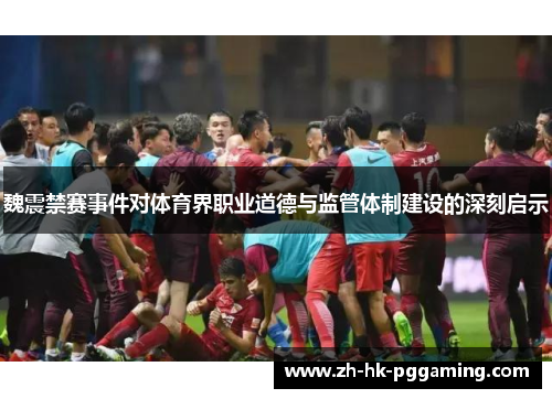 魏震禁赛事件对体育界职业道德与监管体制建设的深刻启示