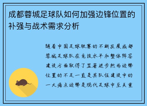 成都蓉城足球队如何加强边锋位置的补强与战术需求分析